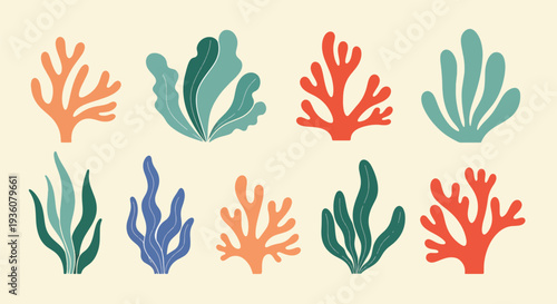 Colorful Coral Collection