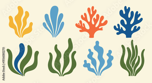 Colorful Seaweed Collection