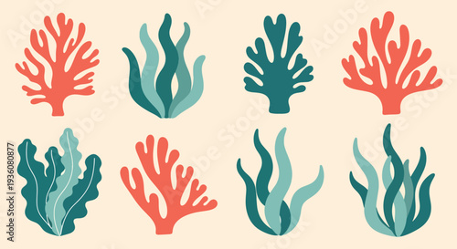 Colorful Coral Collection