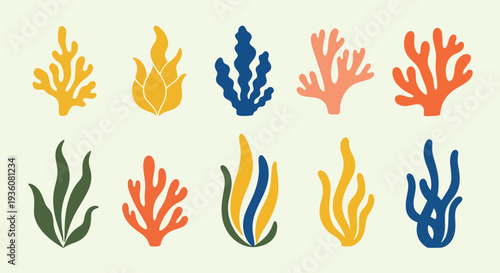 Colorful Coral and Seaweed Icons