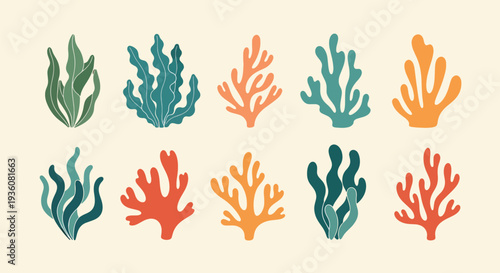 Colorful Coral Elements