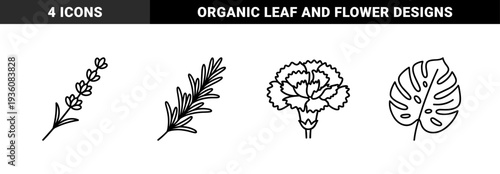 Botanical flora line art featuring lavender, rosemary, monstera leaf, and carnation flower. Minimalist monoline garden elements for organic branding and nature-themed designs.