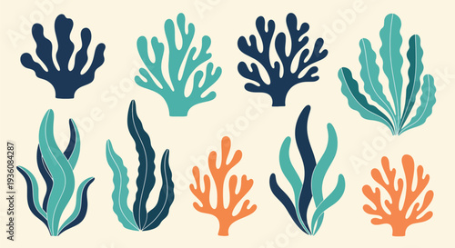 Colorful Coral Collection