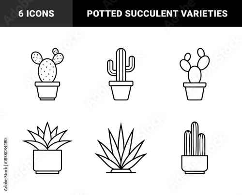 Succulent and desert plant line art for home decor branding. Minimalist monoline illustrations featuring potted cacti, aloe vera, and agave plants.