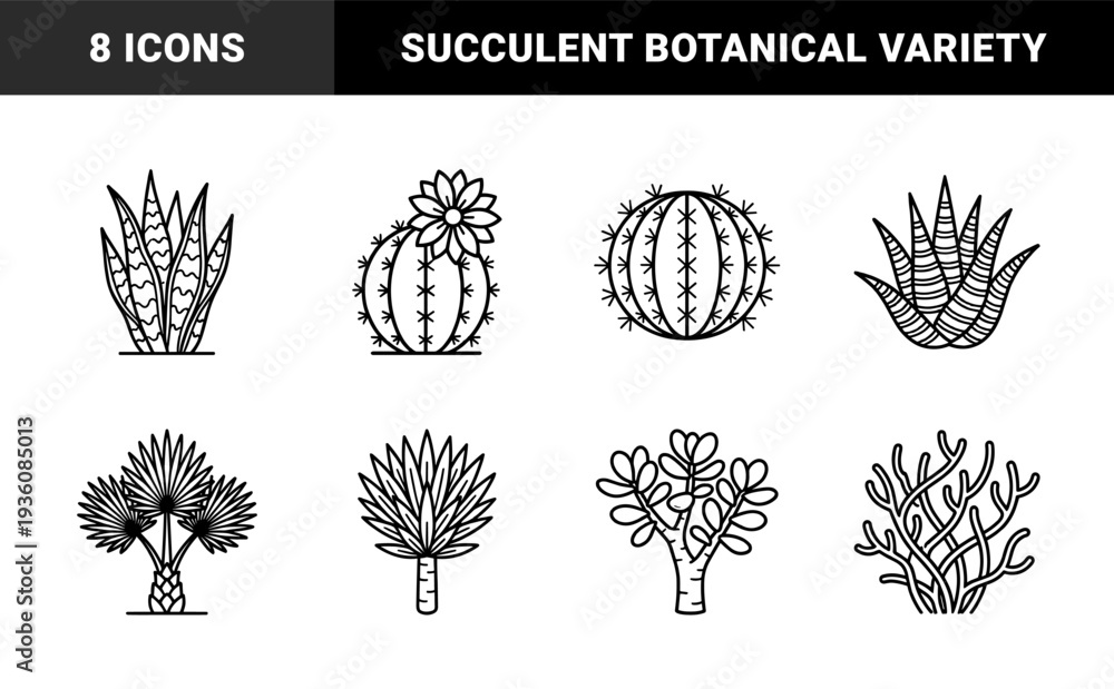 Fototapeta premium Desert flora and succulent vegetation botanical elements for landscaping design. Monoline black and white graphic cacti and houseplant silhouettes.