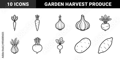 Root vegetable garden harvest line art illustrations. Minimalist black ink kontour drawings of carrot, onion, garlic, beet, and potato for culinary design.