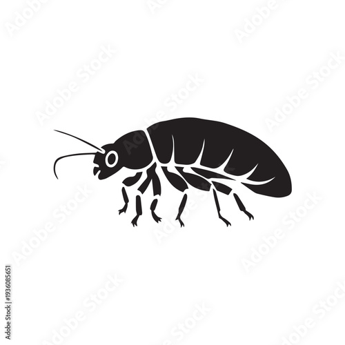 Black Silhouette Illustration of a Woodlouse Isopod Insect Isolated on White Background.
