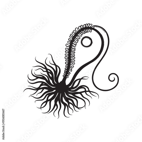 Black Silhouette of a Microscopic Bacterium With Long Flagella and Pili. 