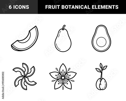 Avocado cultivation and culinary preparation elements in bold monoline style featuring seed germination, flowering, and sliced fruit segments.