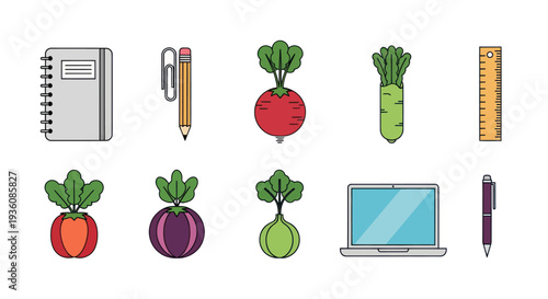 Office supplies and vegetables vector set