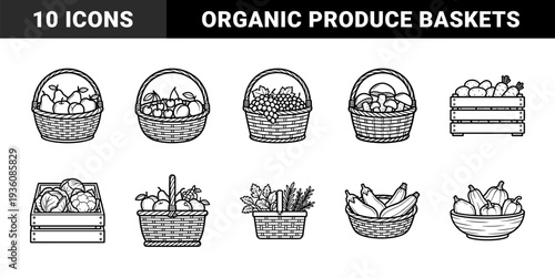 Farm fresh harvest produce in rustic wicker baskets and wooden crates. Hand-drawn line art illustrations of fruits, vegetables, and mushrooms for organic branding.