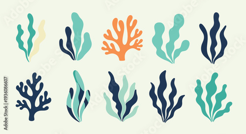 Colorful Coral and Seaweed Set