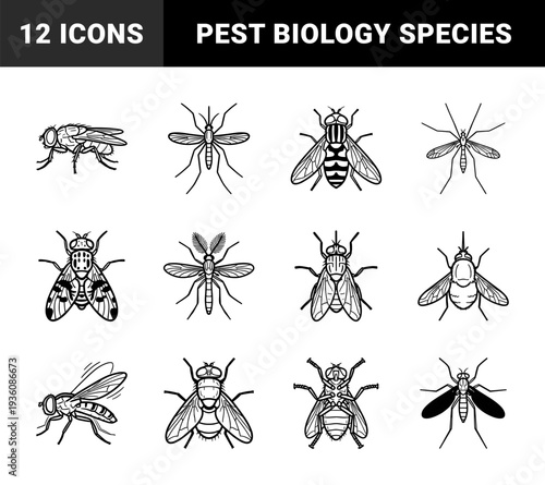 Insects and pest control line art featuring flies and mosquitoes for educational biology or sanitation materials. Minimalist monoline entomology diagrams for scientific research and hygiene awareness.