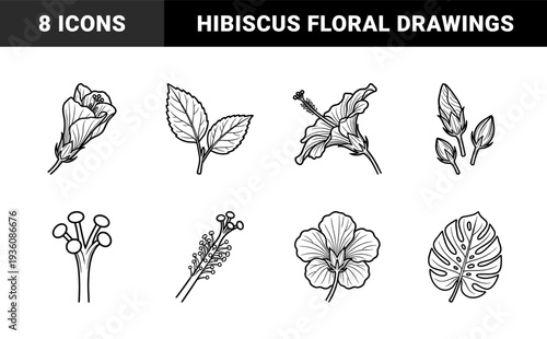 Hibiscus botanical line art and tropical monstera leaf drawings. Hand-drawn minimalist floral elements for organic branding and summer wedding stationery.