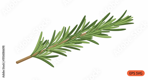 Fresh Rosemary Sprig