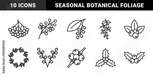 Botanical winter berry and holly leaf elements for seasonal branding. Minimalist monoline garden sketches featuring rustic organic silhouettes and festive floral accents.