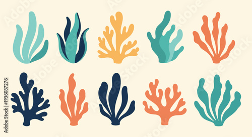 Colorful Coral Icons