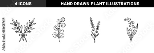 Botanical line art illustrations featuring eucalyptus, olive branch, lavender, and lily of the valley. Minimalist floral sketches for wedding stationery and organic branding.