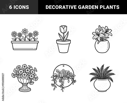 Indoor botanical collection and decorative gardening elements. Bold monoline illustrations featuring potted daisies, tulips, lilies, ferns, and hanging petunias.