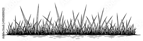 Detailed horizontal border of wild growing grass in black and white woodcut style