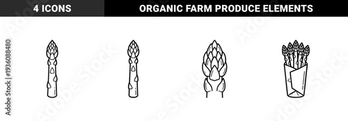 Fresh asparagus spears and vegetable harvest elements for culinary branding. Technical monoline linear illustrations featuring organic farm produce and healthy eating concepts.