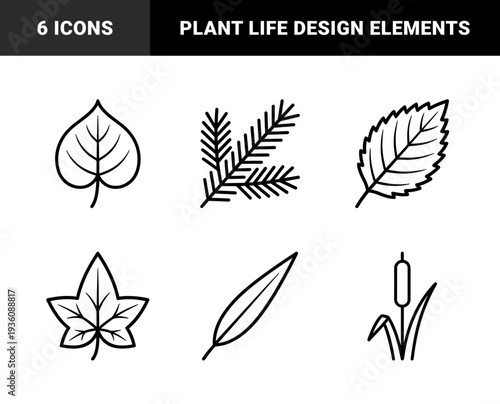 Botanical leaf species and foliage elements for nature education. Heavy monoline outline graphics featuring deciduous, coniferous, and aquatic plant life.