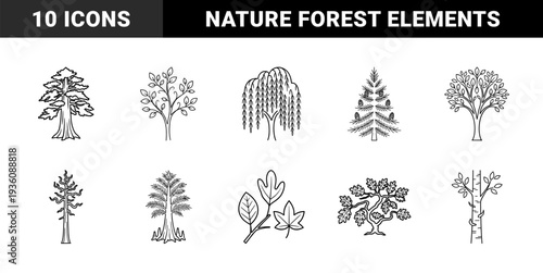 Diverse botanical tree species and leaf varieties in clean monoline art style. Stylized forest elements including oak, willow, pine, and birch for nature branding.