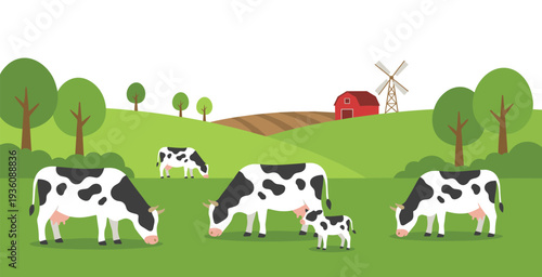 Dairy cows grazing on green meadow farm landscape with red barn and windmill, organic milk production concept flat vector illustration