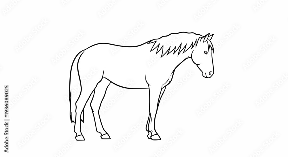 Fototapeta premium Simple Line Drawing of a Horse