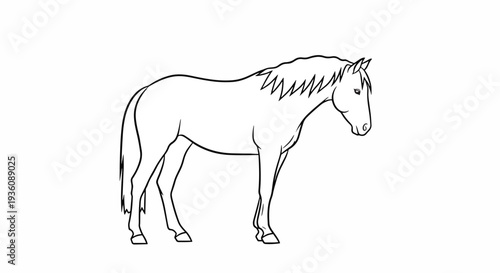 Simple Line Drawing of a Horse