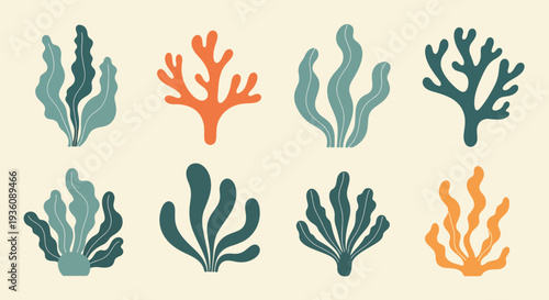Set of Coral Elements