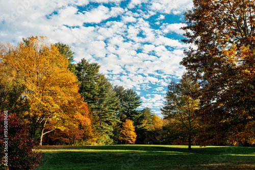 Autumn scene in the park with fluffy clouds