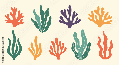 Colorful Coral Collection