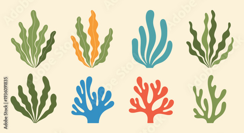 Colorful Coral and Seaweed Collection