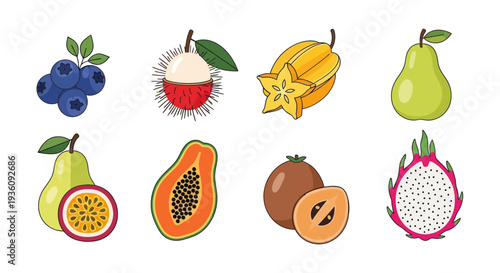Variety of colorful fresh fruits illustration