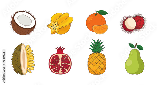 Variety of tropical fruits illustration