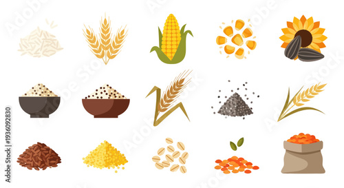 Various cereals and grains collection