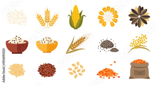 Various grains and seeds isolated on white