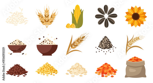 Various seeds and grains illustrated