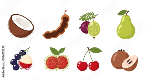 Various tropical fruit collection vector illustration