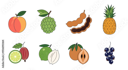 Various tropical fruit illustrations on white