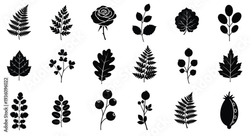 A diverse collection of black and white tree silhouettes showcasing various leaf shapes and sizes