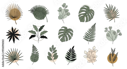 A diverse collection of exotic plants and succulents in various shapes and sizes