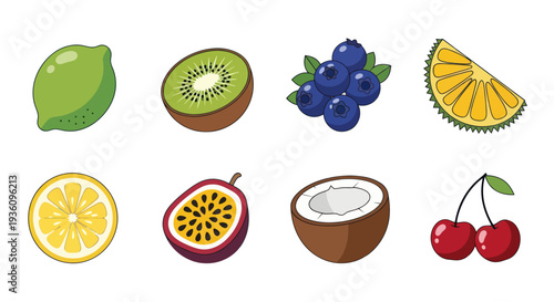 Assorted colorful fresh fruit illustrations