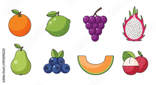 Assorted colorful fruits illustration
