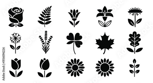 A diverse collection of intricate and elegant black and white floral designs