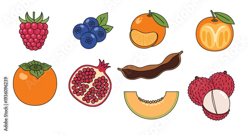 Assorted colorful fruits illustration