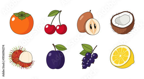 Assorted colorful fruits illustration