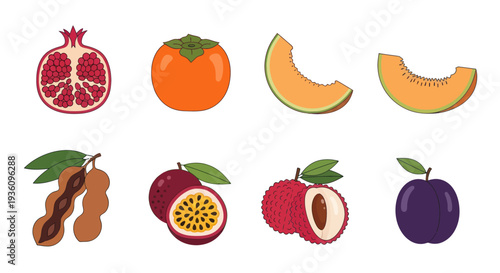Assorted colorful fruits illustration
