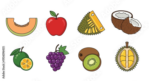 Assorted fresh fruits illustration
